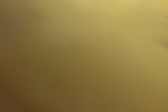 SUN GOLD